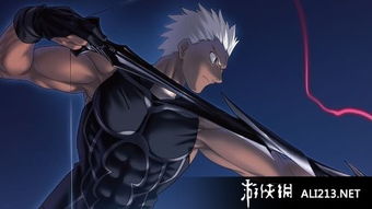 (我的无限英灵加护笔趣阁)我的无限英灵加护：掌握命运的力量，引领未来的奇迹