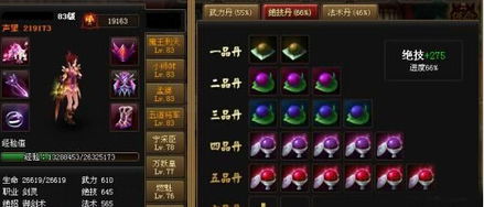 (神仙道法宝多少元宝一个)拓展:探讨神仙道法宝和至宝,哪个先弄才是最佳选择?