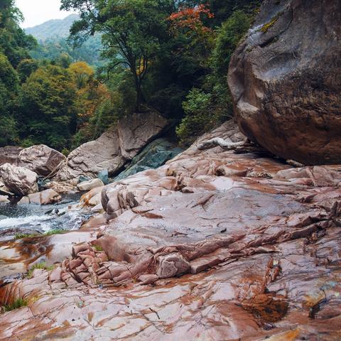 (小鸟怎么飞翔)如何让热爱飞翔的小鸟多赚取金币?