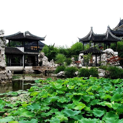 江南首富模拟器免广告不减反增:打造奢华帝国,畅享豪华生活!