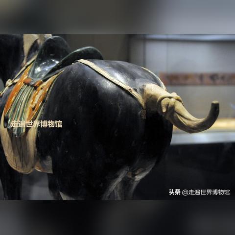 在穿越火线手游中使用外挂的风险与影响:揭开背后不为人知的真相