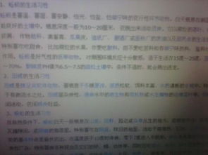 勇敢的小鱼:以'小鱼探险记作文500字'为主题探讨生存技巧与友情的重要性 勇敢的小鱼:以'小鱼探险记作文500字'为主题探讨生存技巧与友情的重要性