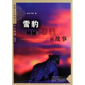 探寻神秘的艾人文化:详解如何踏上前往那个被称为长夜移动城的奇幻旅程