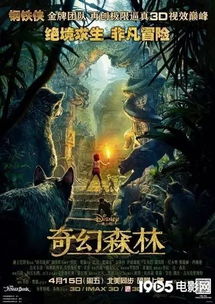 (探索奇幻世界,空想森林在哪个动漫中出现过)探索奇幻世界，空想森林在哪个动漫中？