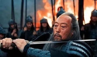 新生活新挑战：穿越三国成为刘表之子，如何在乱世中保护家族与国土