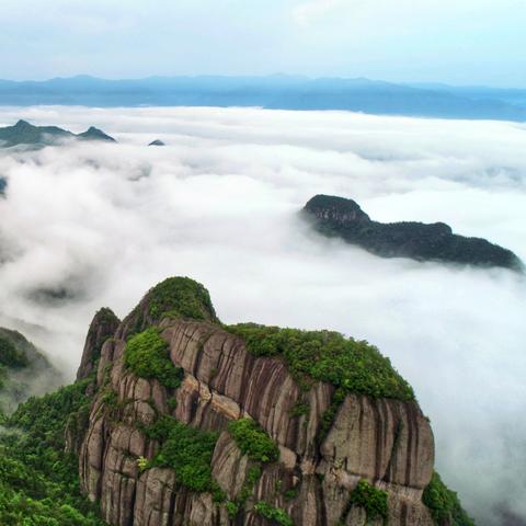 一键获取晋江文学城海量优质小说免费阅读，让你的阅读之旅更加丰富多彩