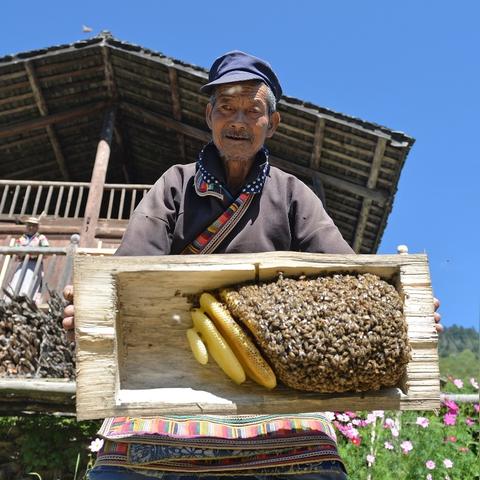 (蚂蚁部落大作战下载)深入探讨蚂蚁部落大作战免广告的优势与玩家体验提升