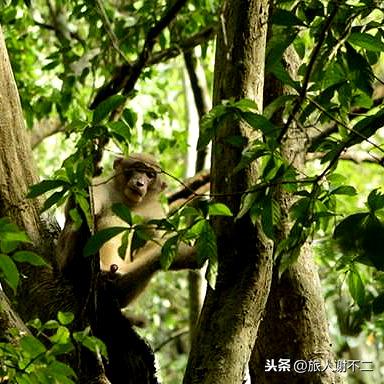 (微信小游戏原始传奇)新开微信小程序原始传奇：探寻未知世界的神秘冒险之旅