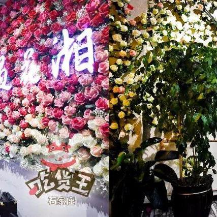 探索甜蜜厨房：梦幻花园烹饪菜谱大全中的细致插图及人气料理制作步骤详解