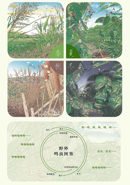 探寻乡村夜晚的虫鸣声：描绘农村生态环境中的自然生物音景的引人入胜之处