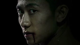 (余罪第4季)余罪第四季100集，揭秘犯罪背后的真相，打造最精彩的侦探剧集