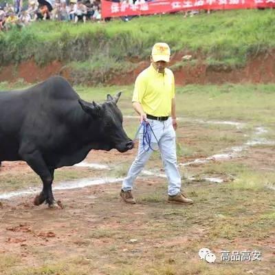 (土城争霸下载地址)掌控土城，征战争霸，尽在土城争霸下载！