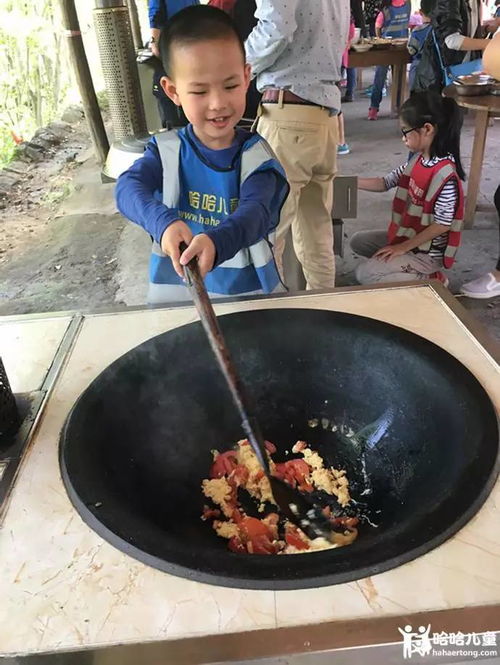 (cozy grove茶叶蛋)挑战极限!探索茶叶蛋大冒险15关,寻找隐藏关键解锁新世界 (cozy grove茶叶蛋)挑战极限!探索茶叶蛋大冒险15关,寻找隐藏关键解锁新世界