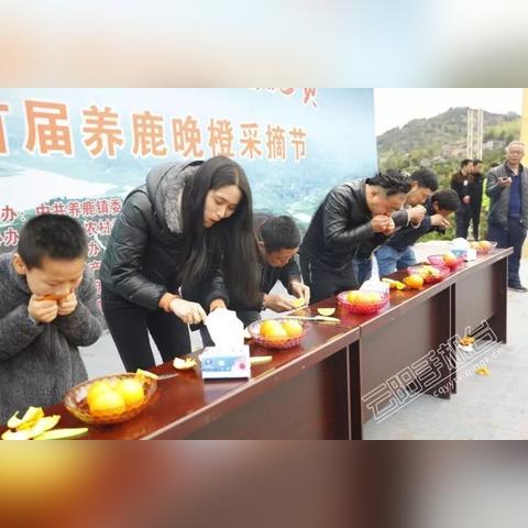 (全民摸鱼破解版无限钻石)全民摸鱼无限金币：探索如何在游戏中轻松获得无穷金币的秘诀